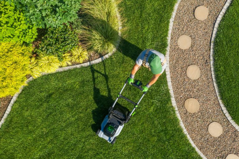 Gardener Mowing Backyard Garden Grass Aerial View.